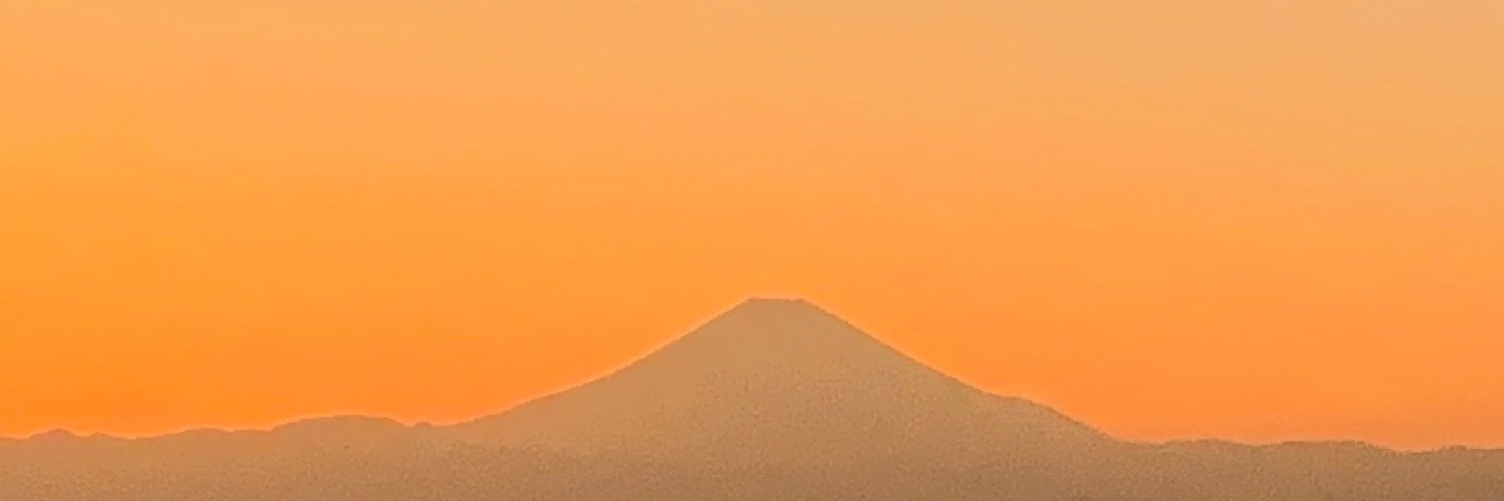 みるく