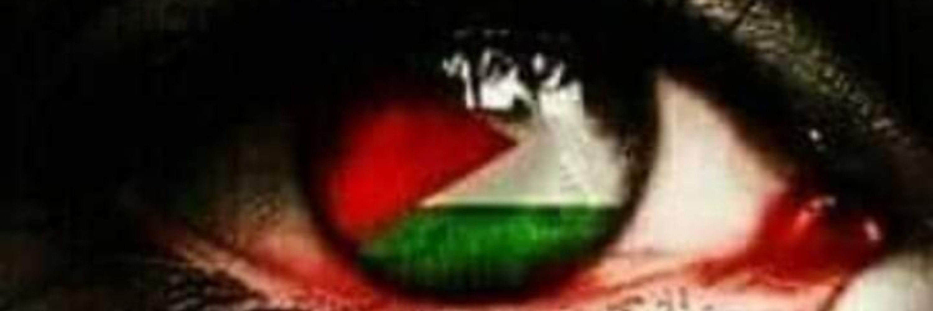 Mahmoud KH 🇵🇸🌿