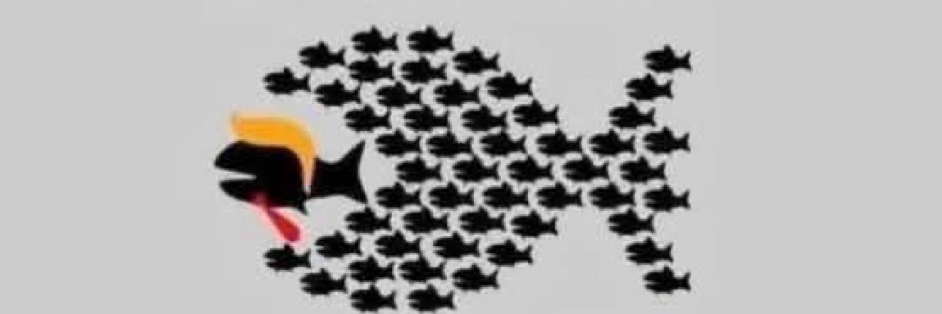 Revolt