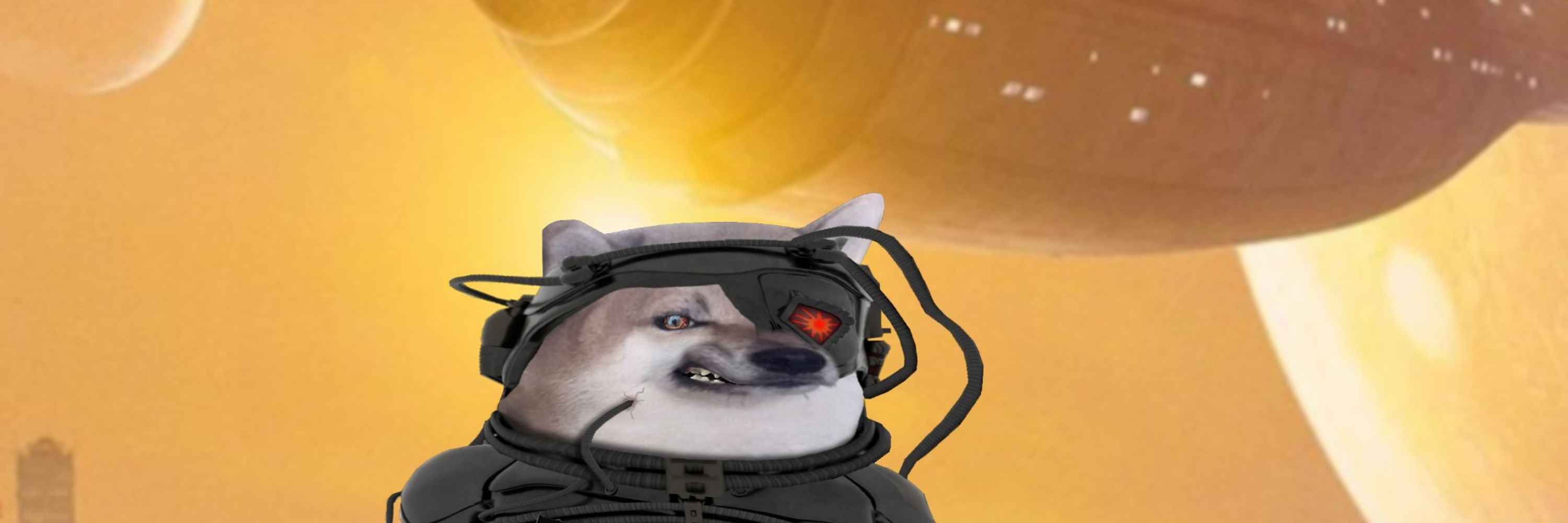 Welcome2DevNull