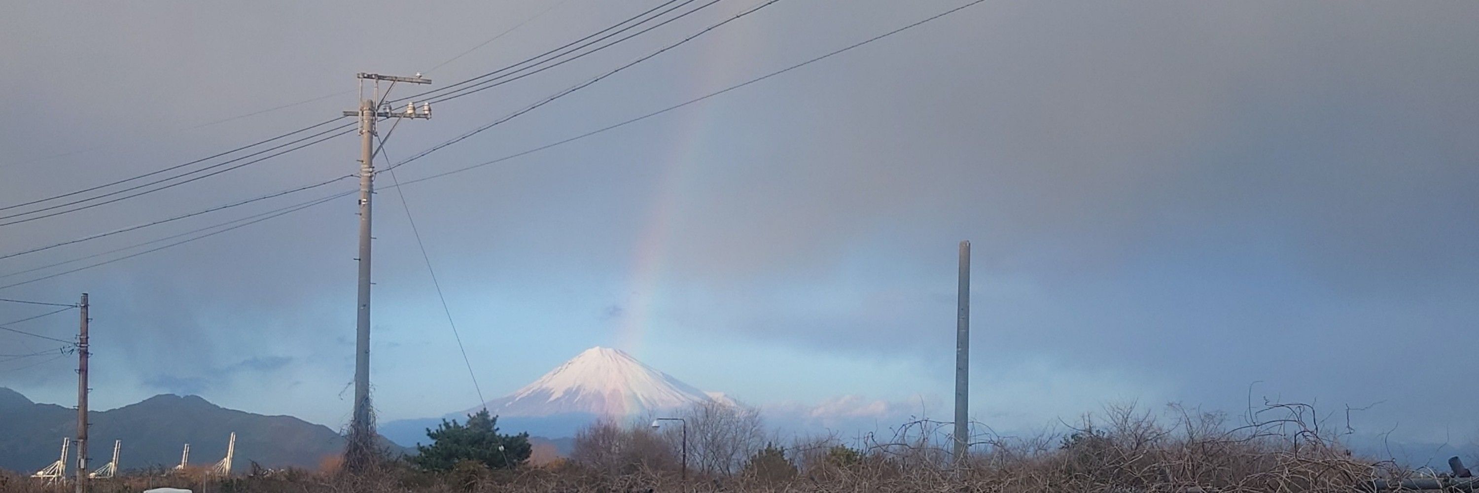 くいちさーーん