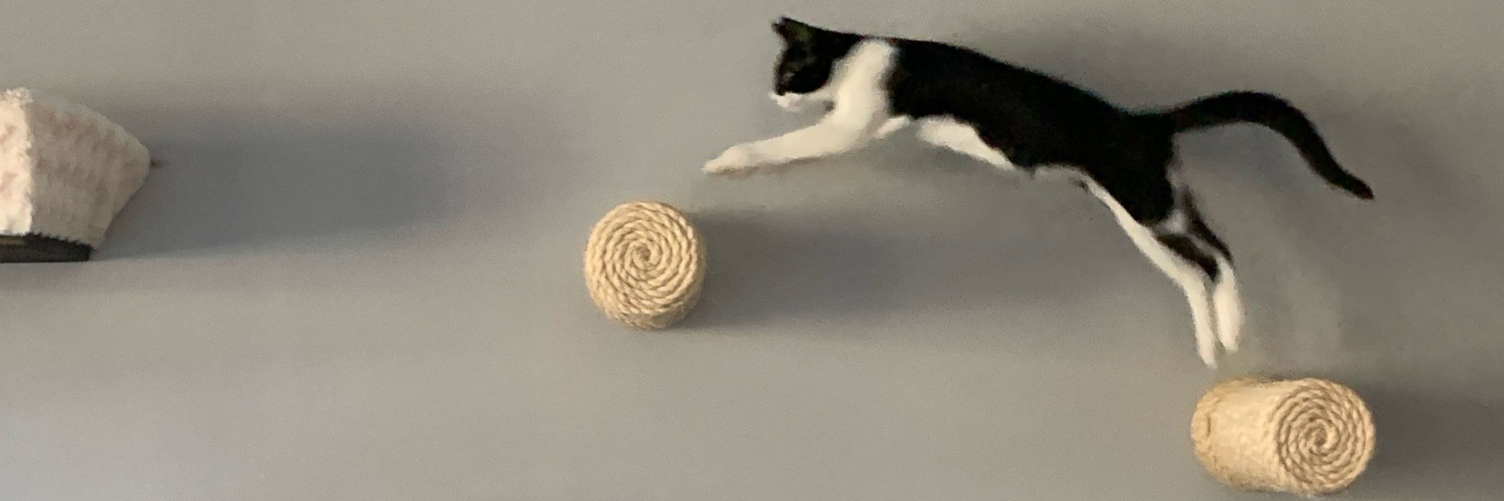 Emili