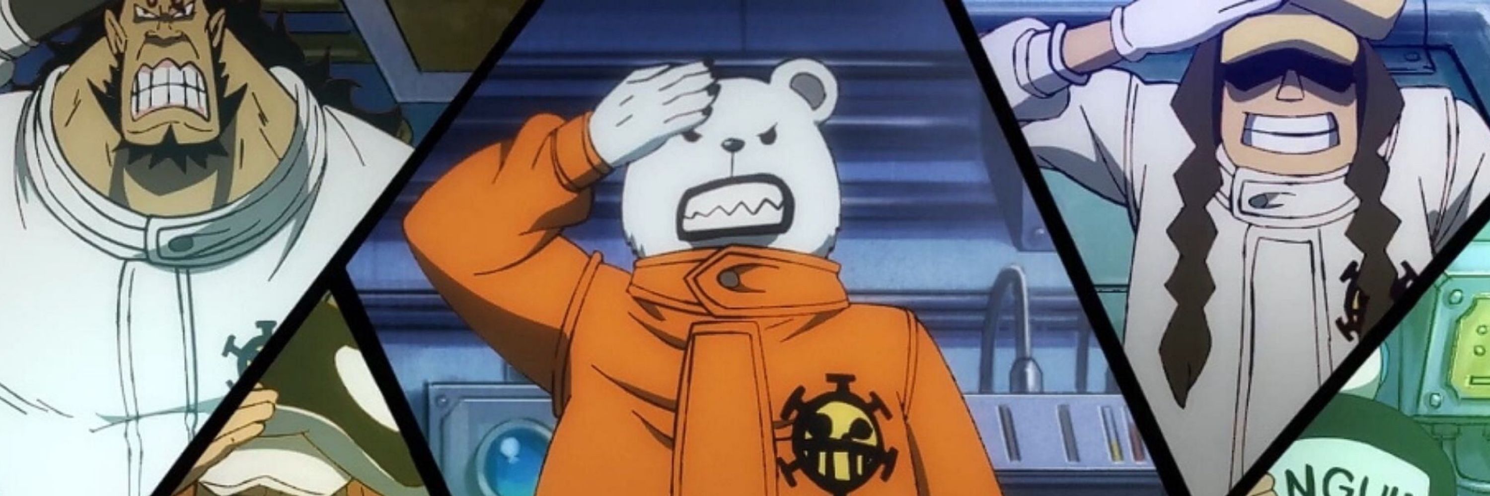 ABear