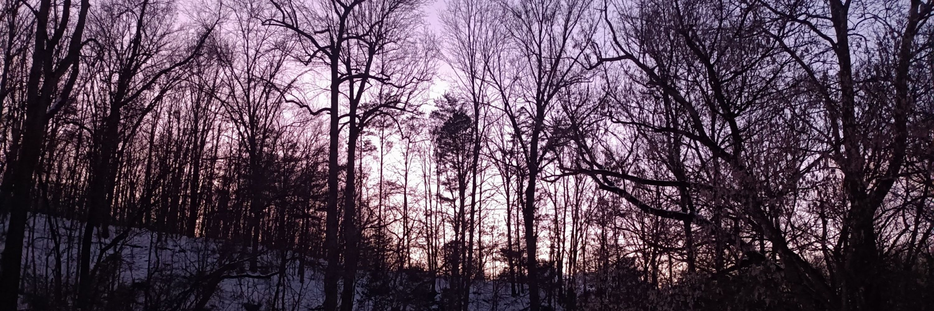 Purple Nickel