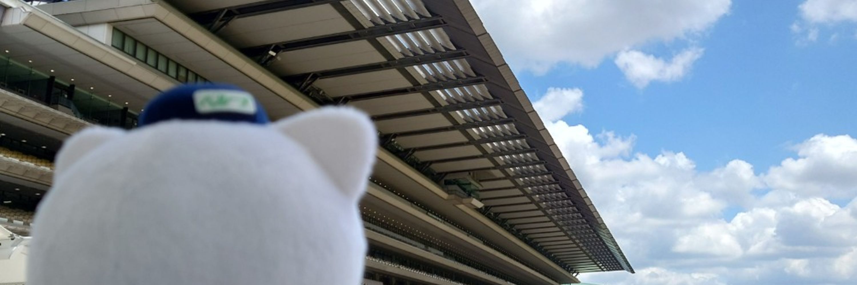 かしざくら