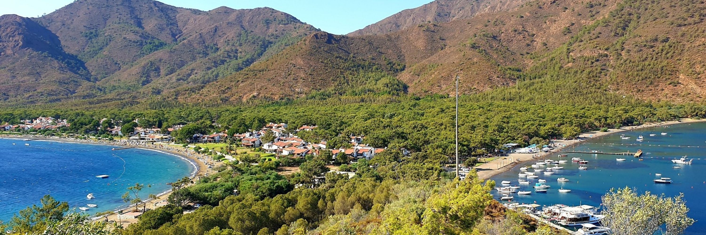 Özgür Özer