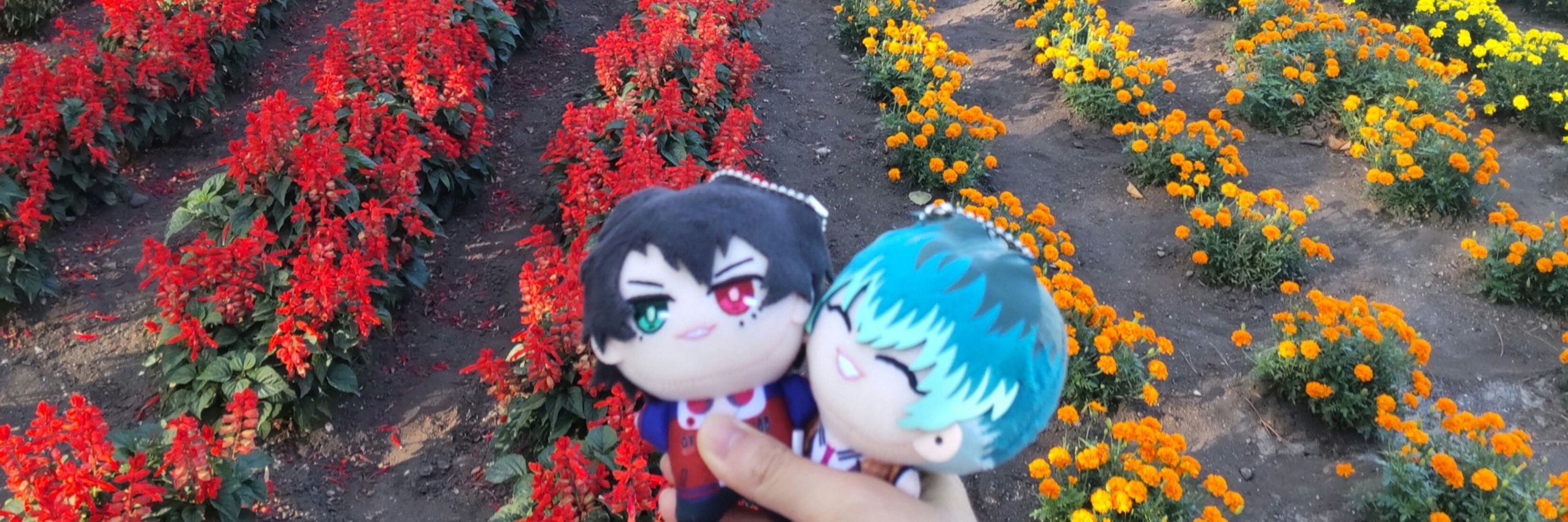 チヲハ