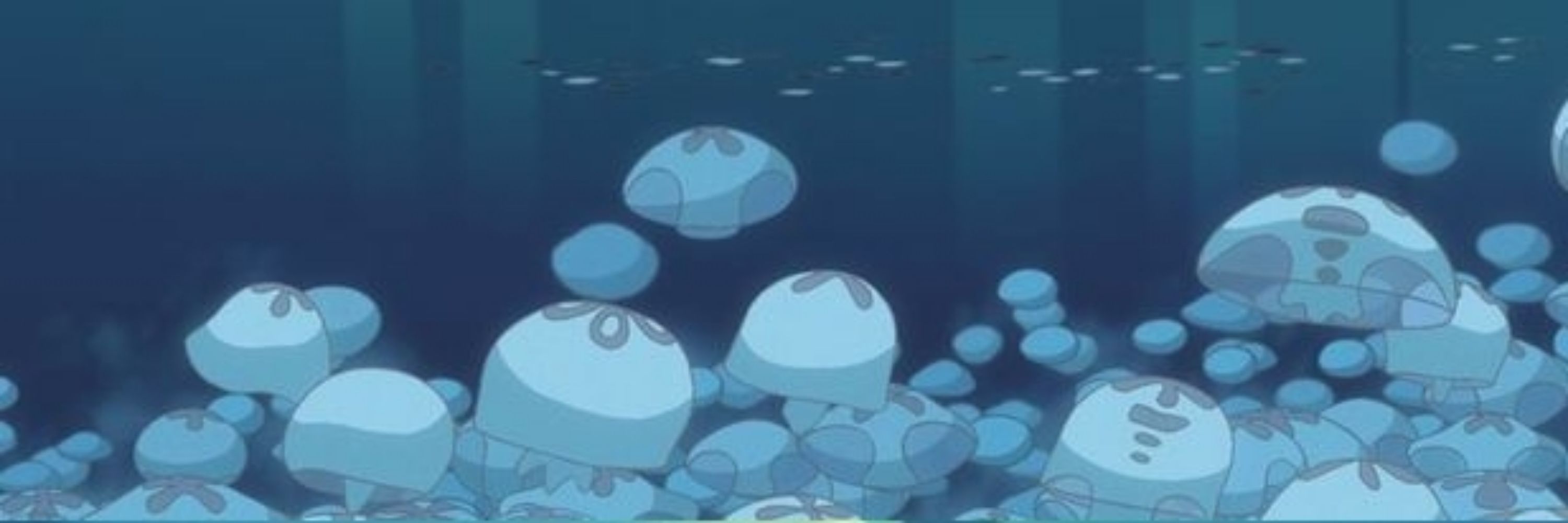  ࣪ ೬ 🪼 ᮫  ¡ : ray !ㅤ⃘￮