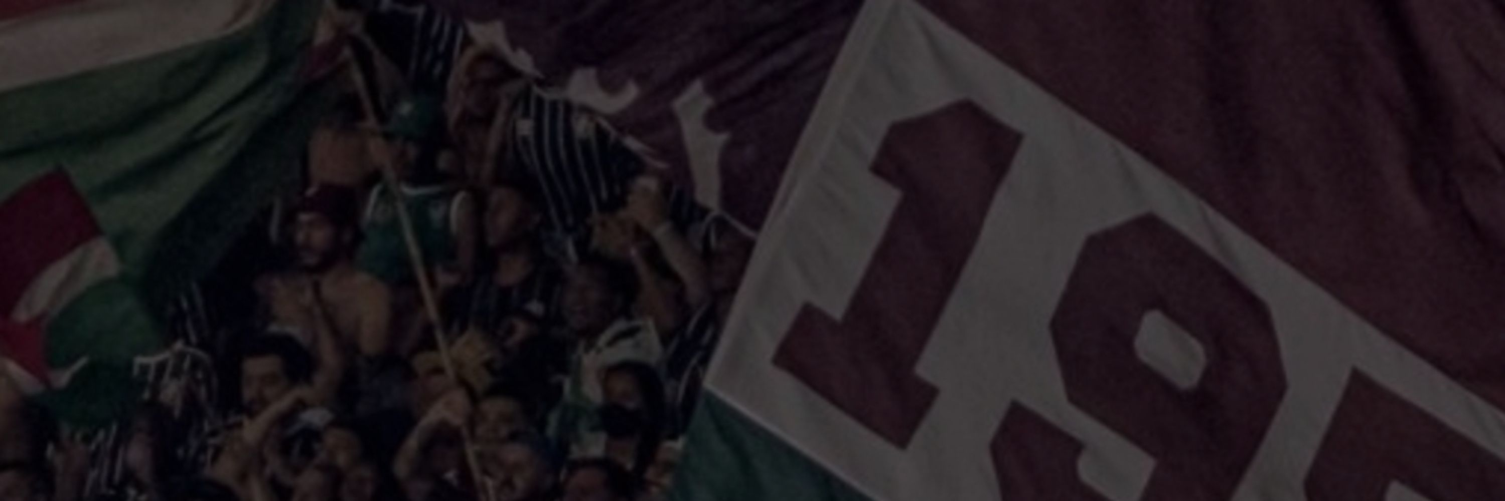 ThiagoGuarconi¹⁹⁰²