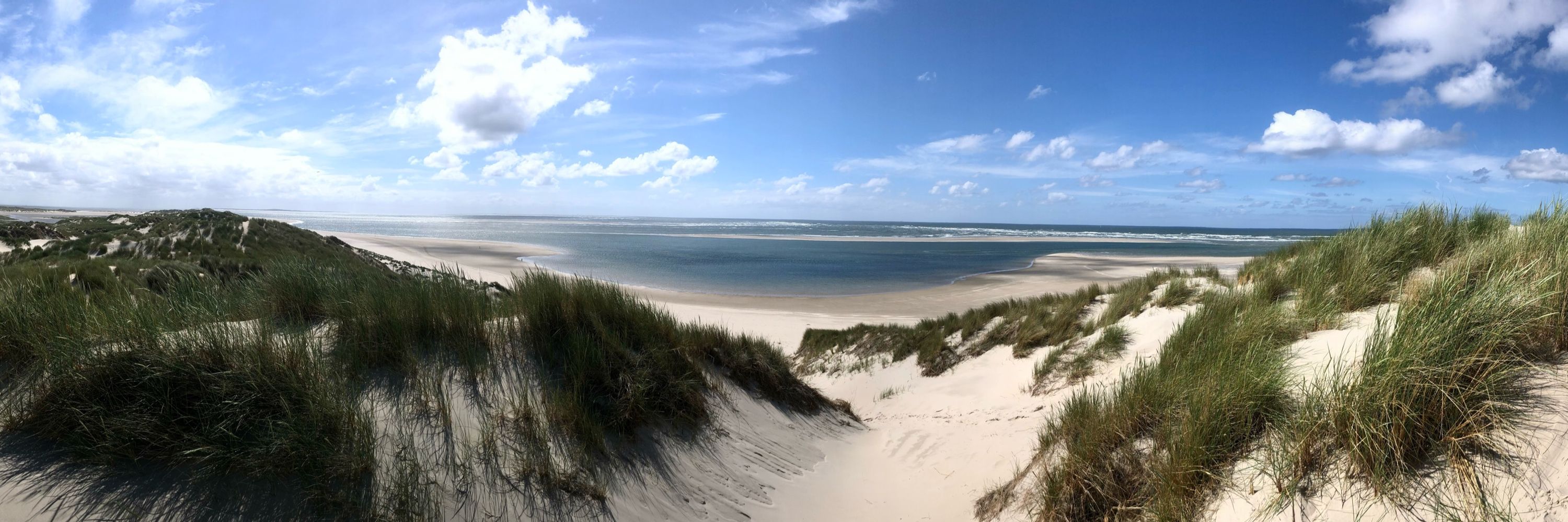 Jildert 🇳🇱