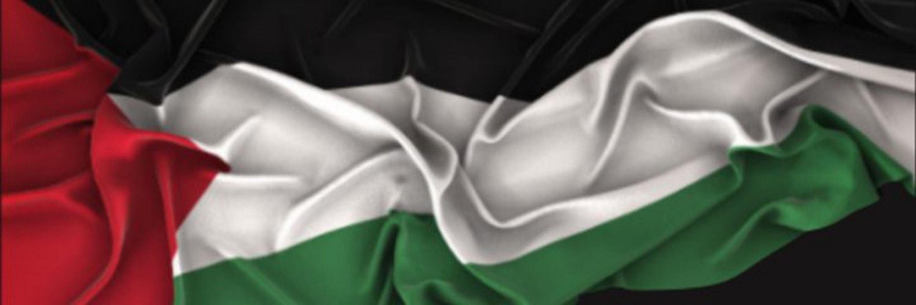 Taym Heeler 🍉 | FREE PALESTINE 🇵🇸