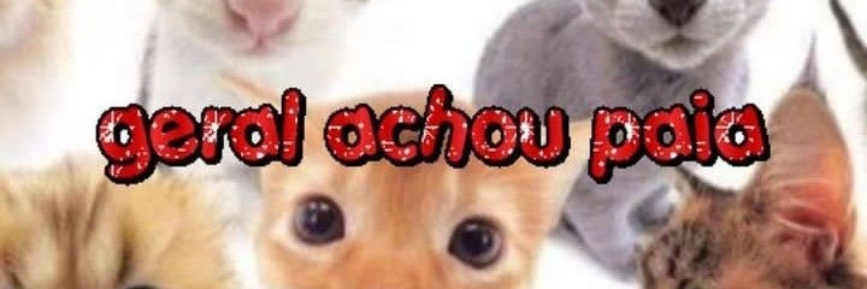 Paçoquinha