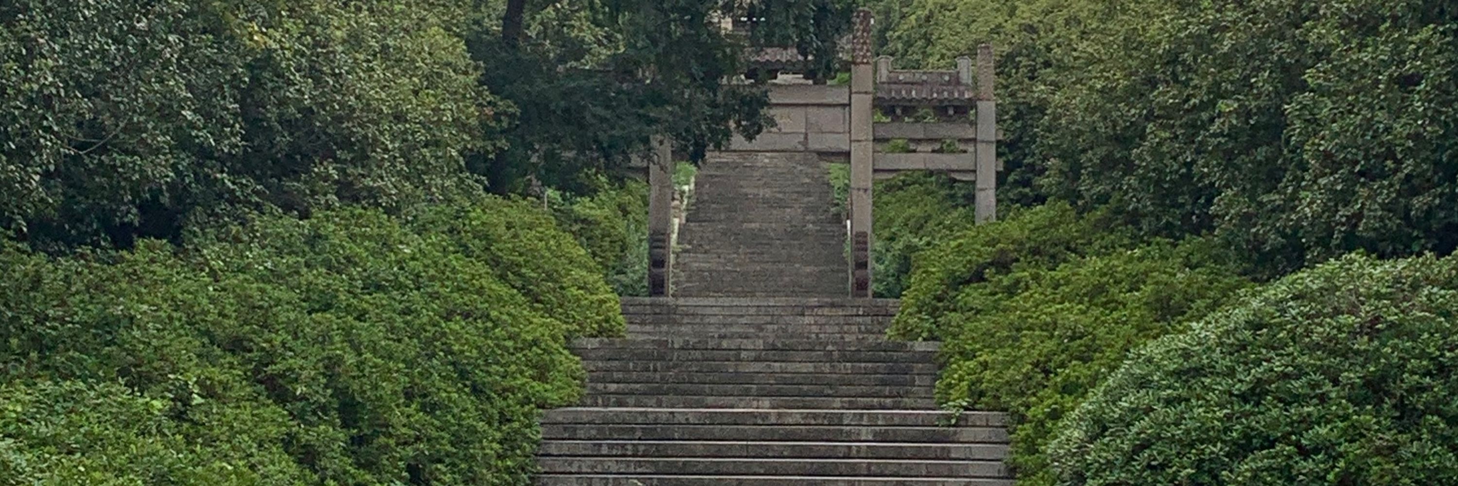 Kaspa大金牙