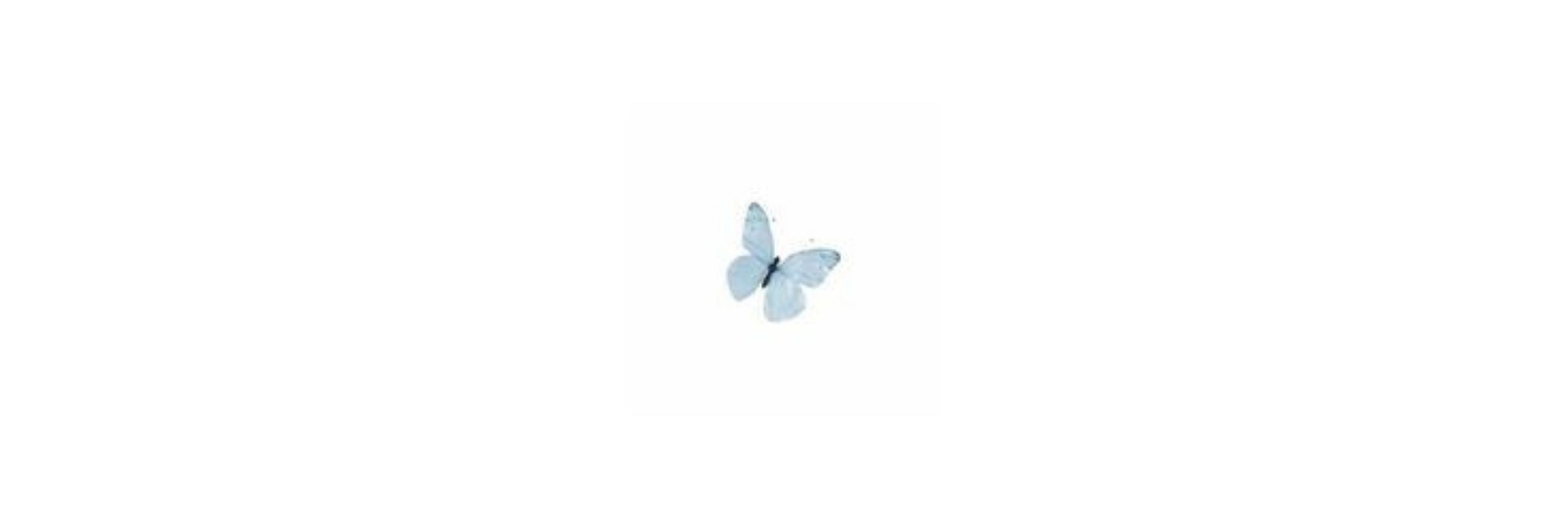 angelina.
