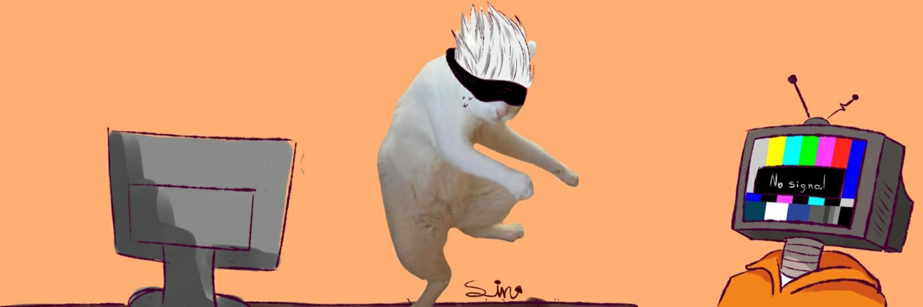 SIN