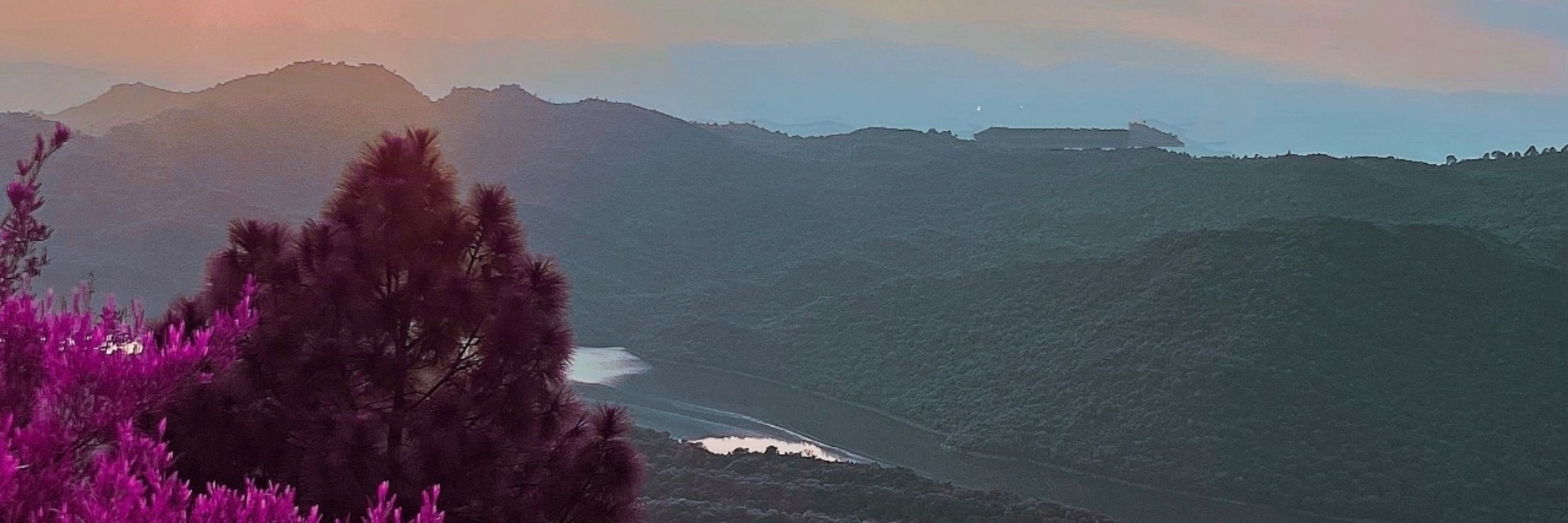 سائرہ اعوان