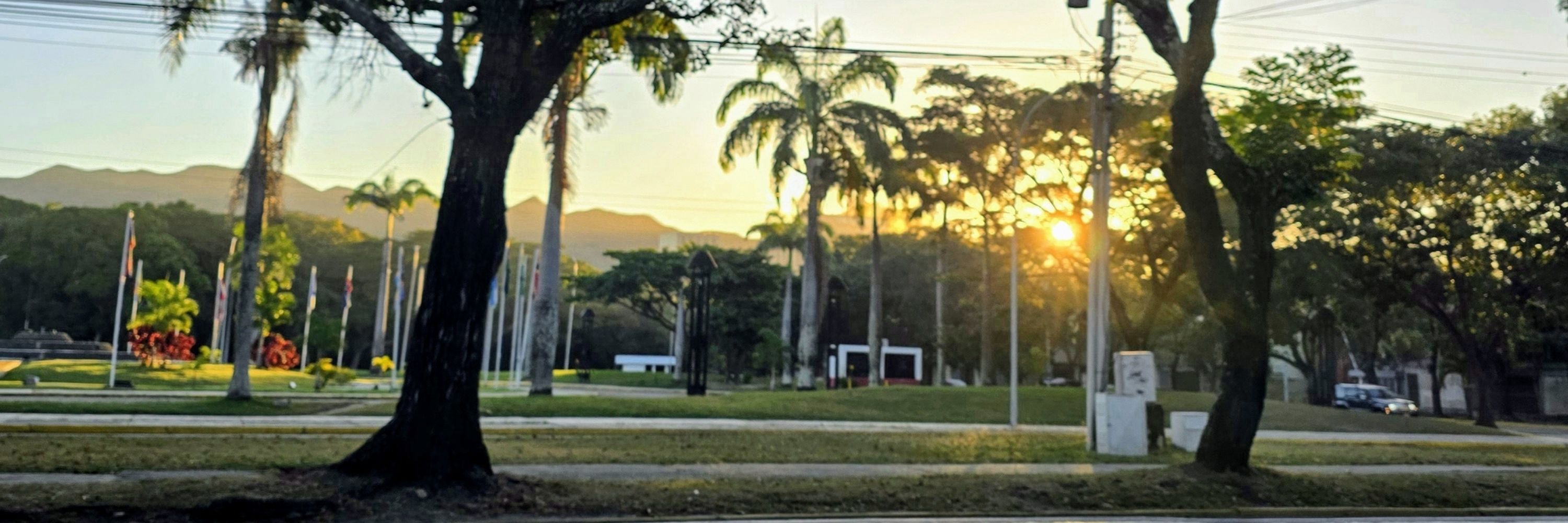 Luis Mejias