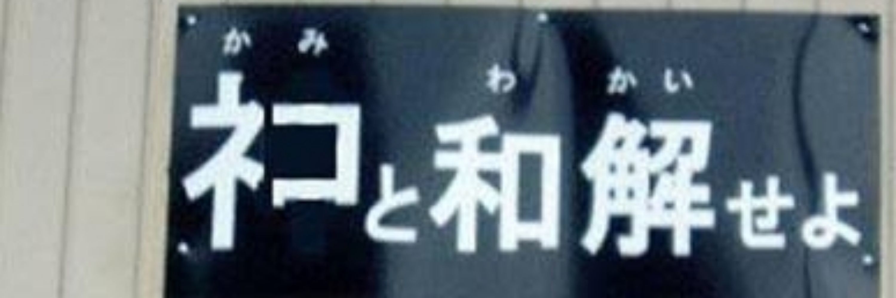 なゆきち55