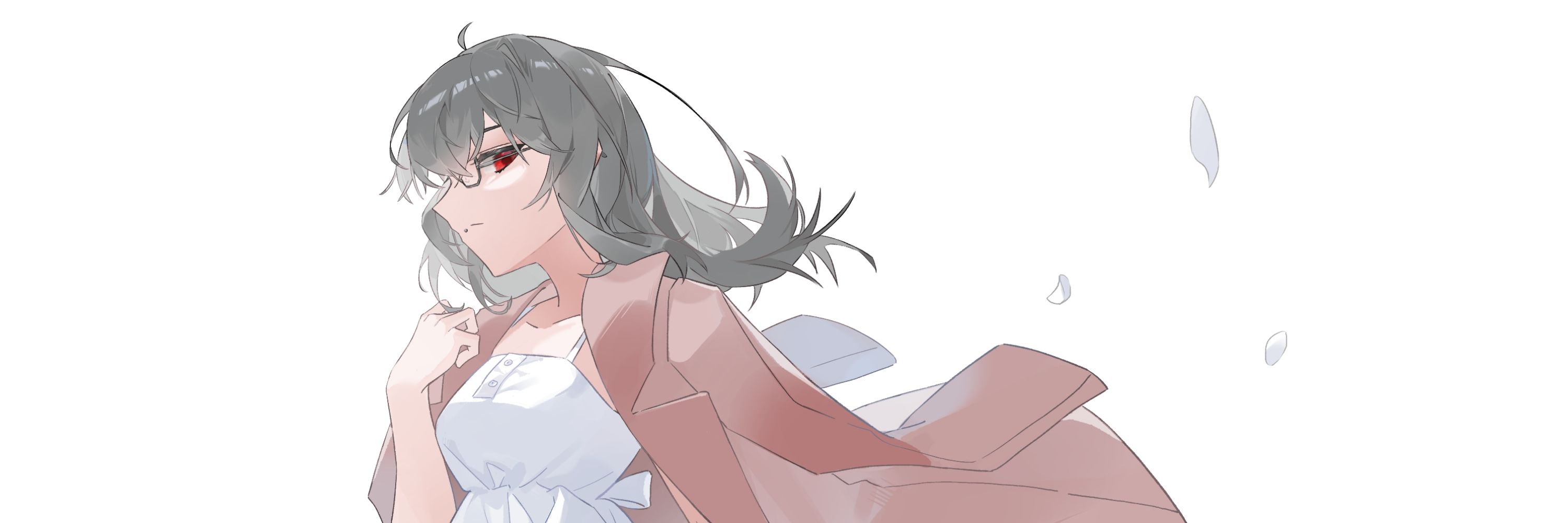 蛋白休養中