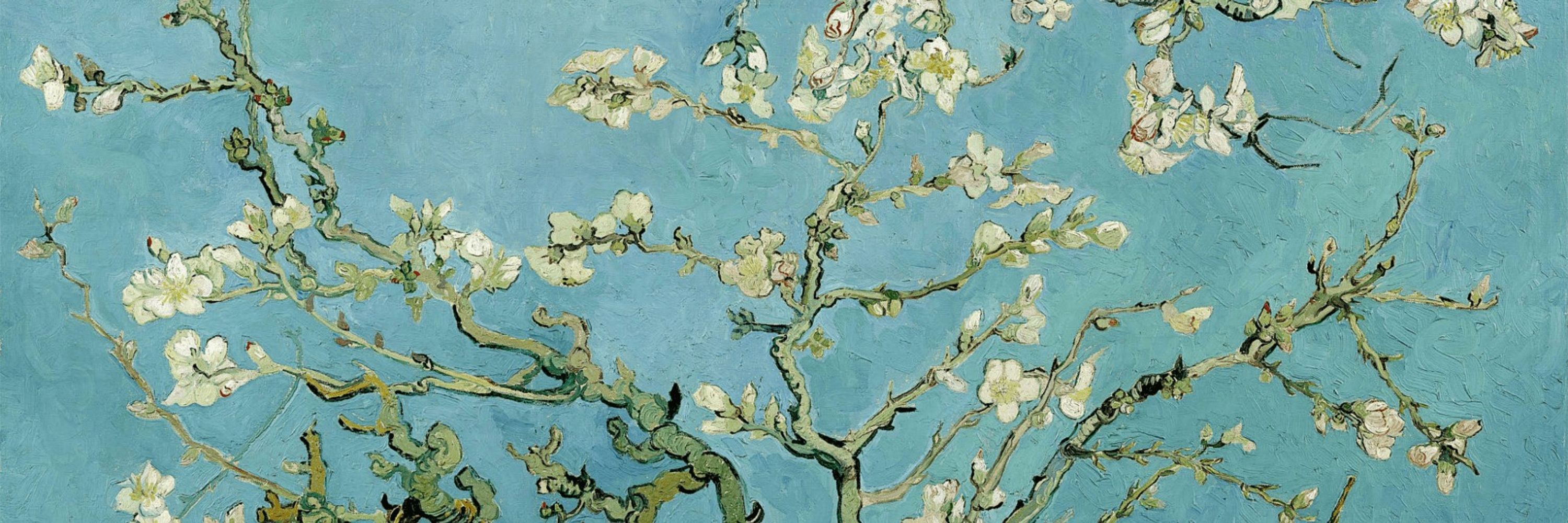 Vincent van Gogh