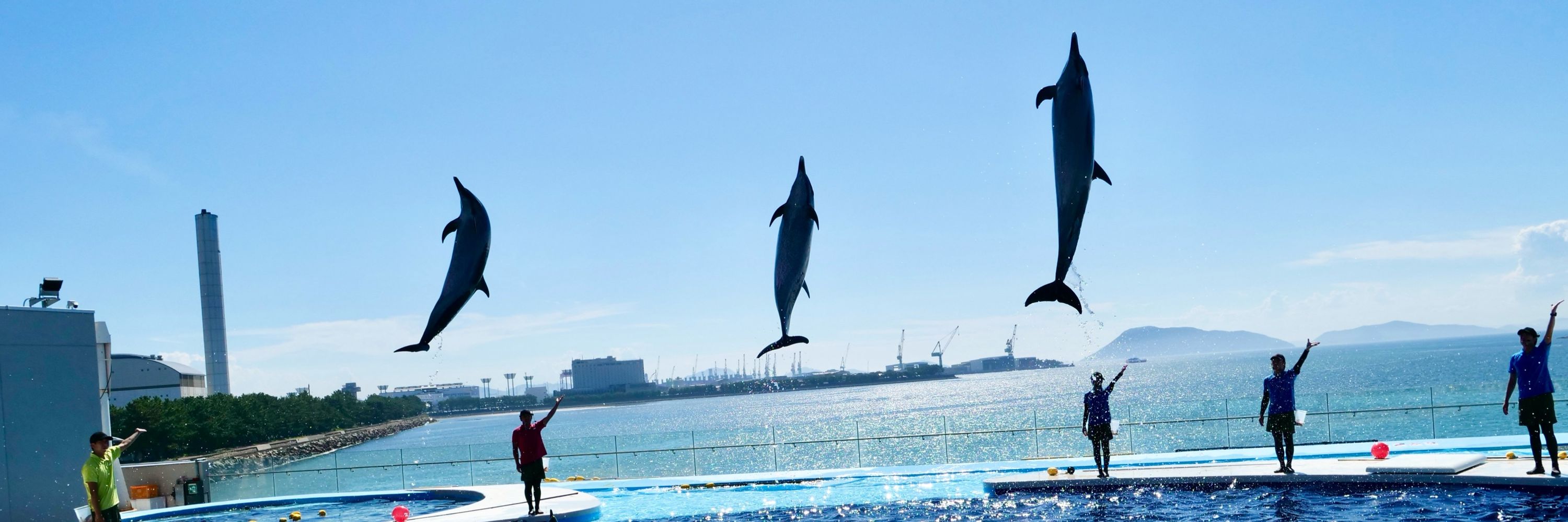 あべさん