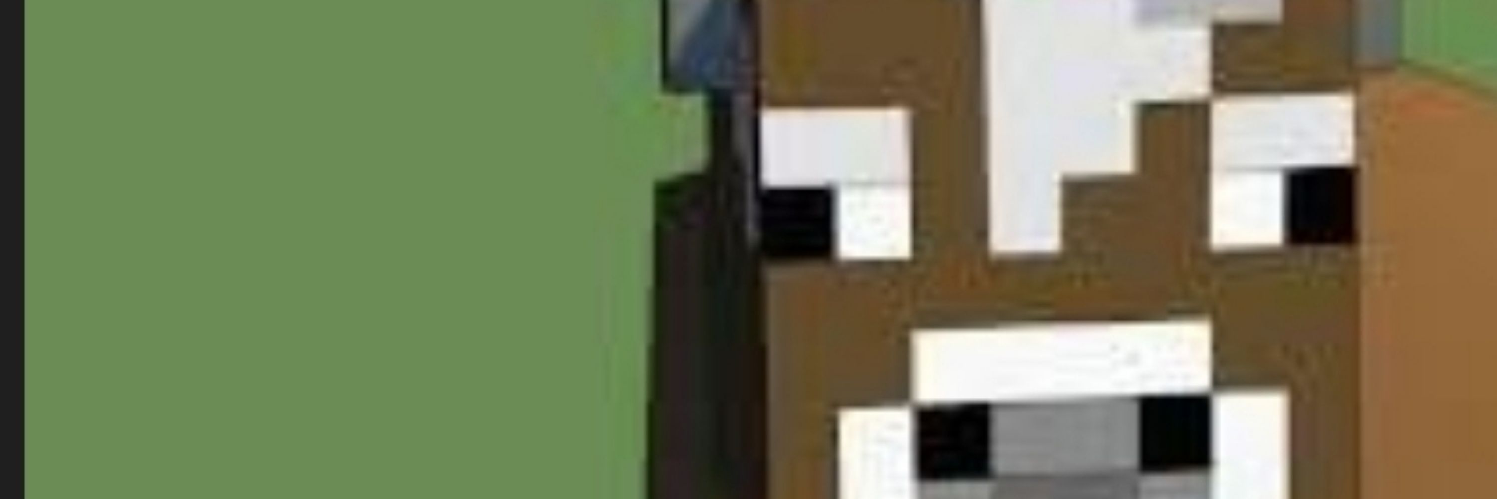 Bootleg