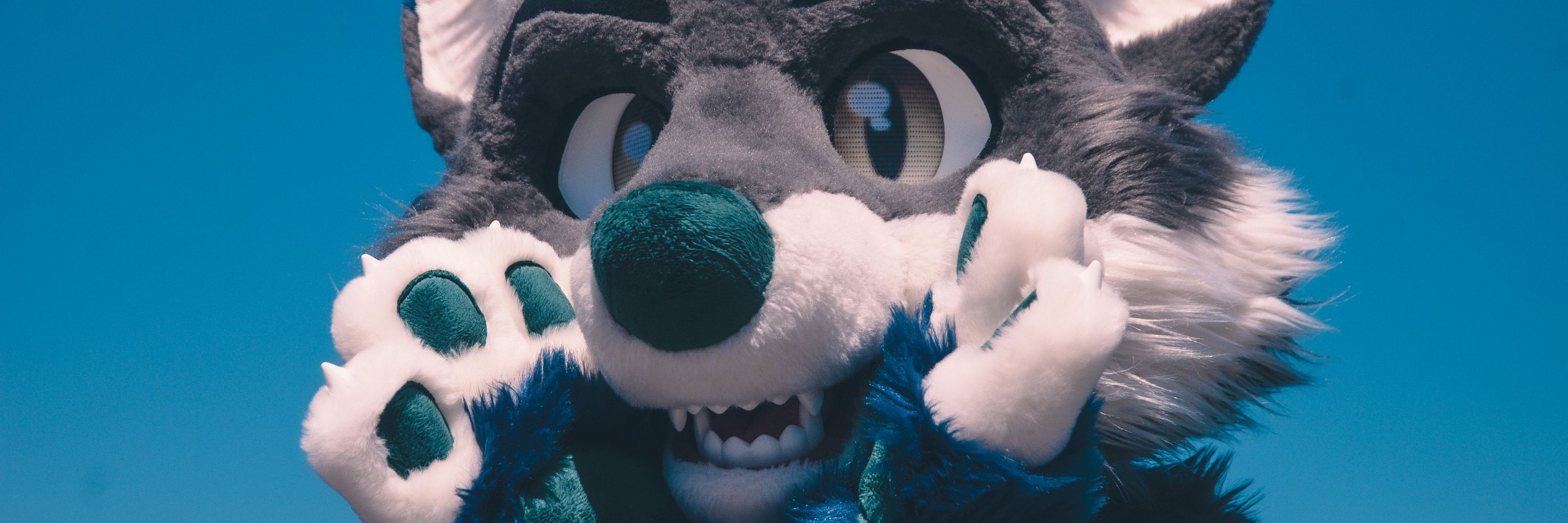 🦊 Vataqun 🐺 🔚 LVFC, 🔜 FWA