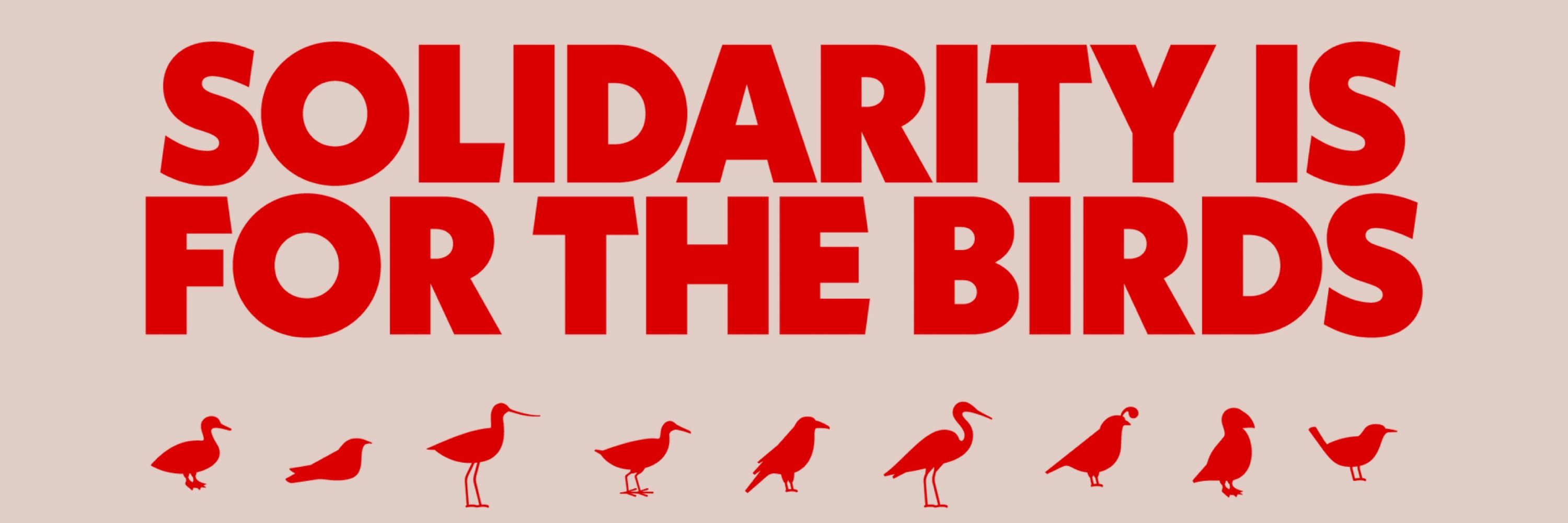 The Bird Union 🪶