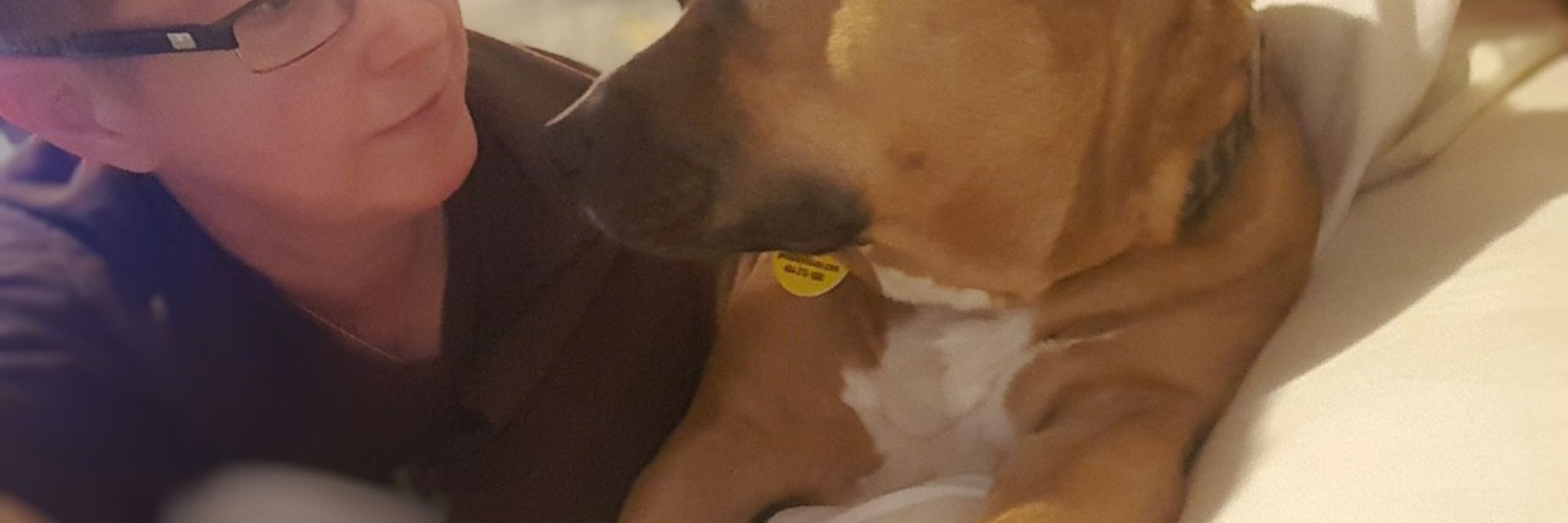 Jackthepitbull