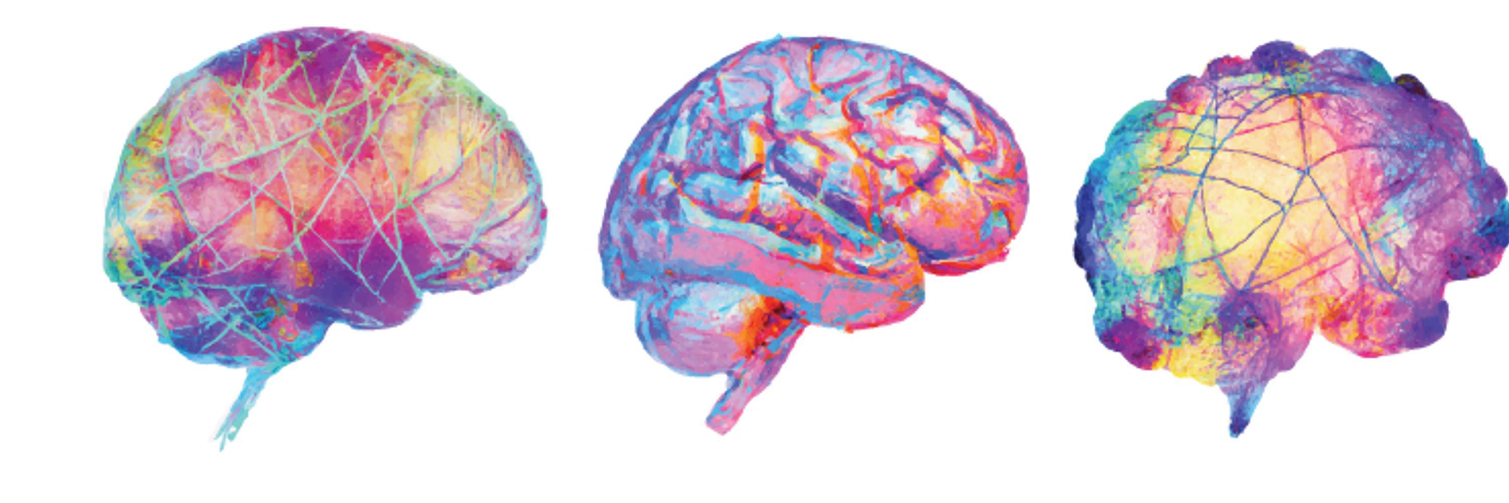 Society for the Neuroscience of Creativity