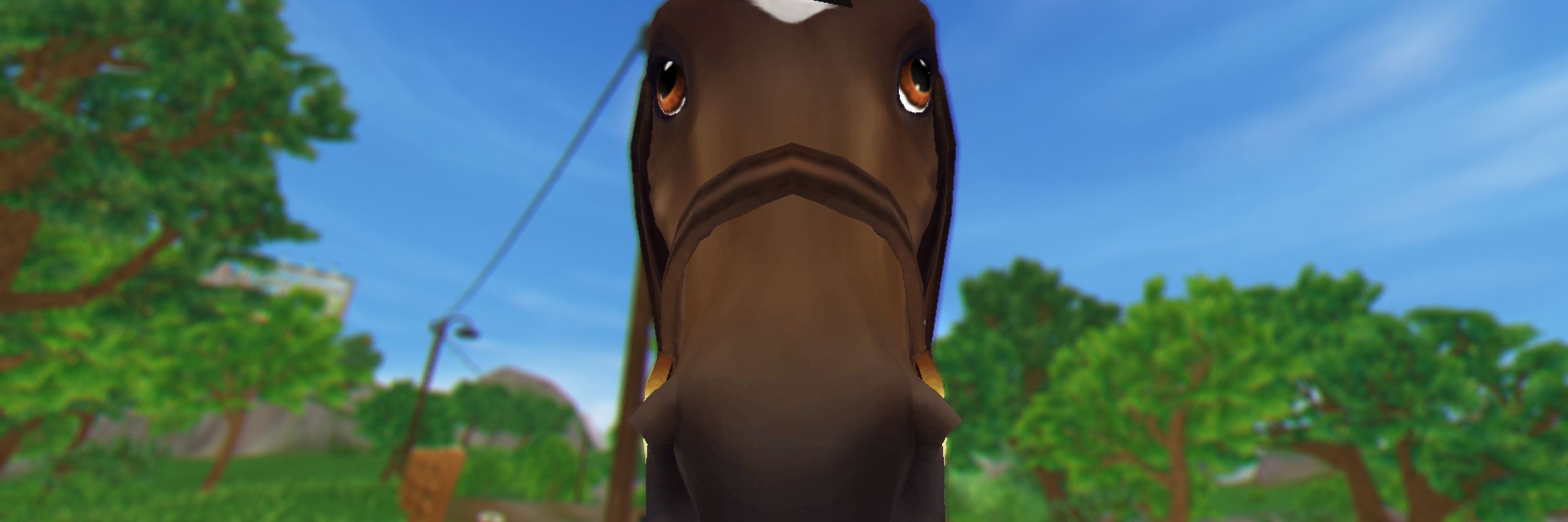 mag