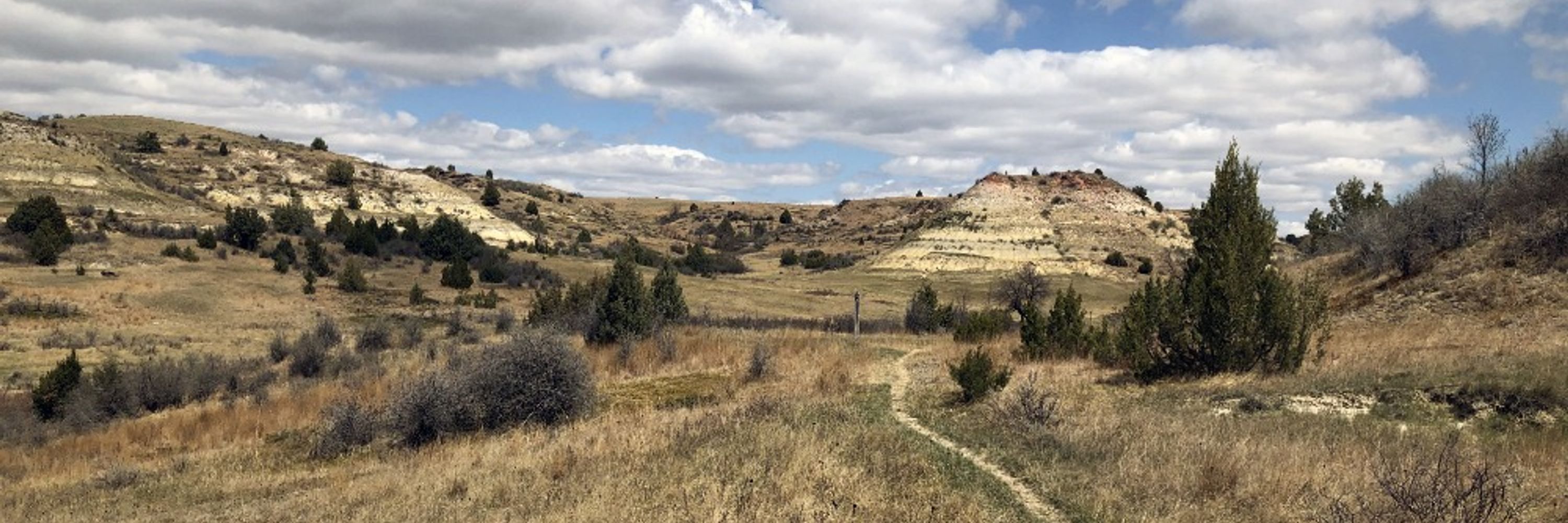 Badlands Conservation Alliance