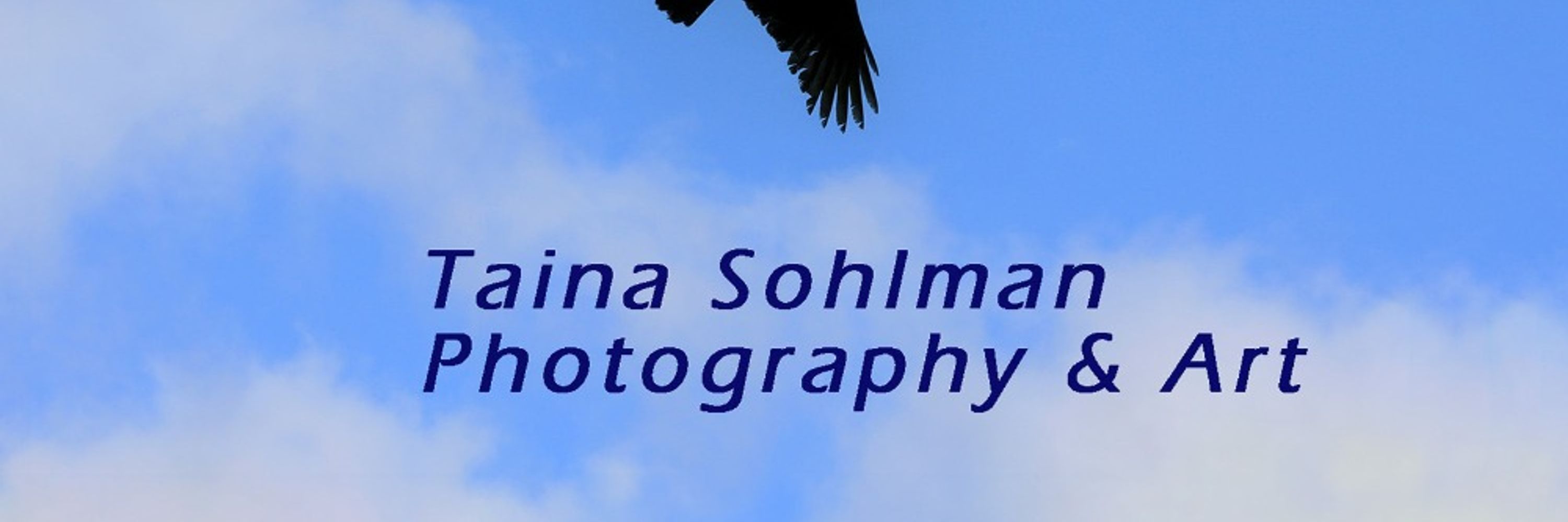 Taina Sohlman Photography 