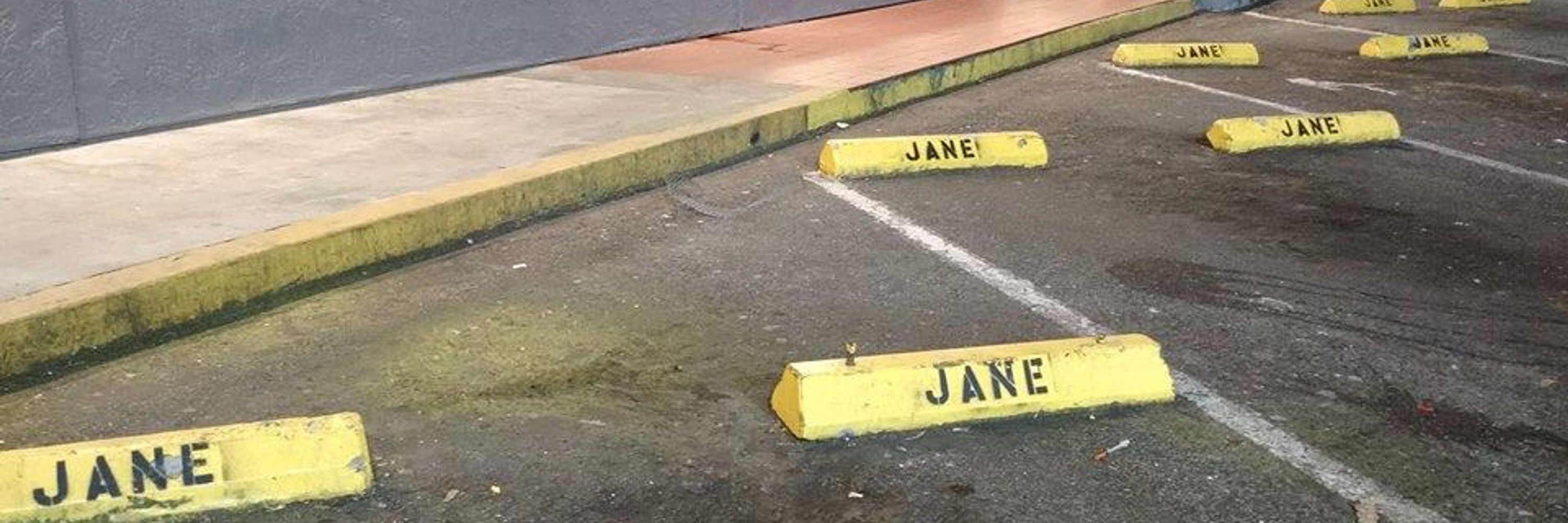 Jane Tunks Demel