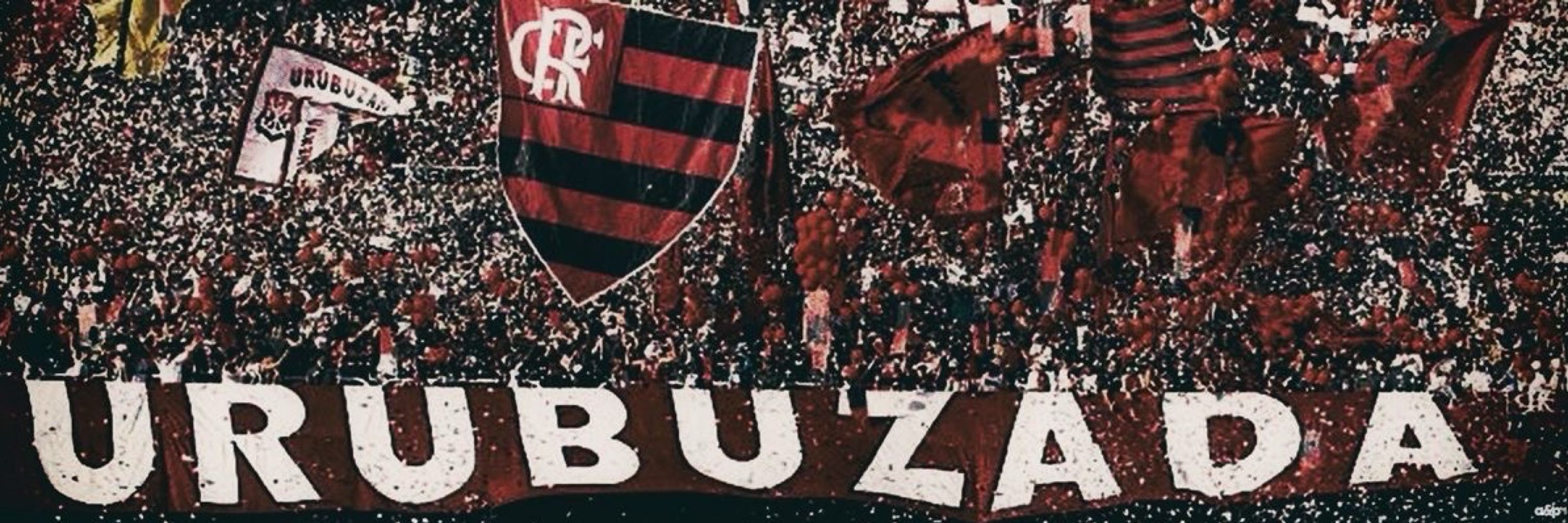 bibiagms