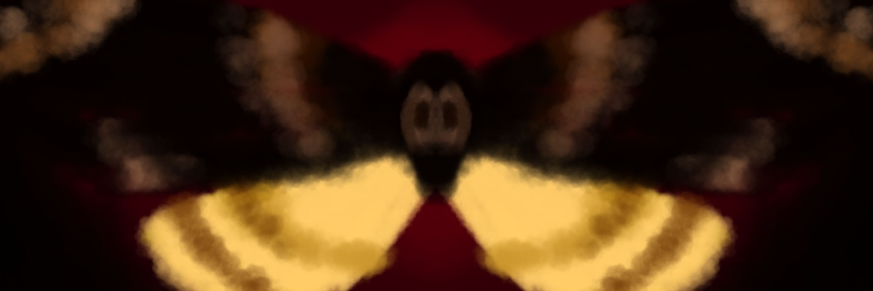 Adair / Moth