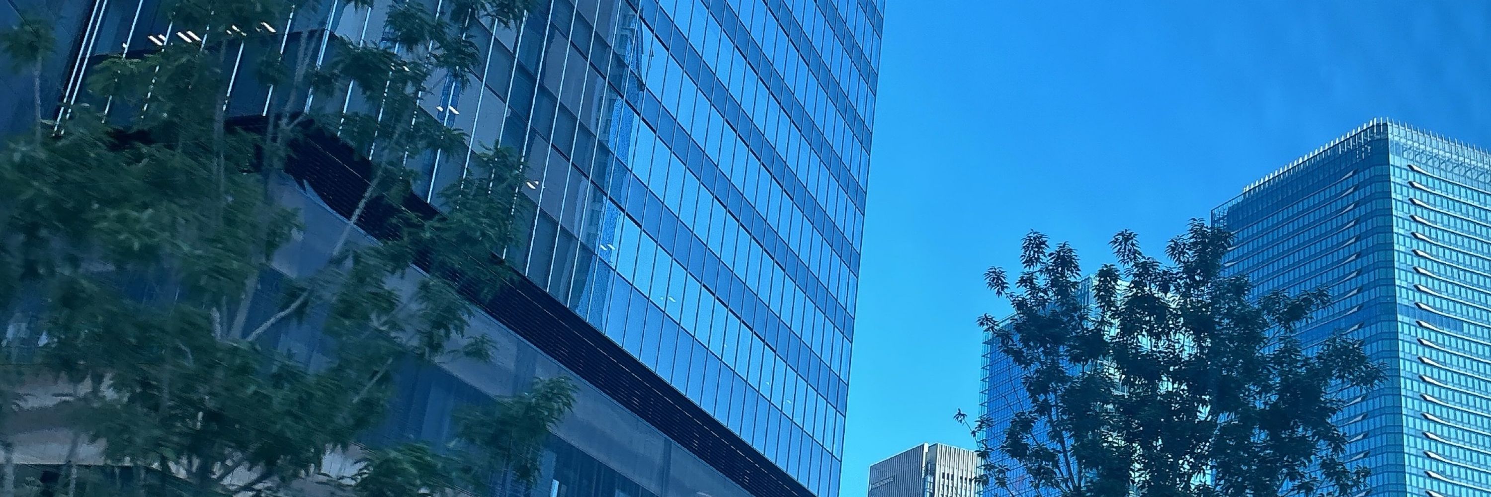 泥岡