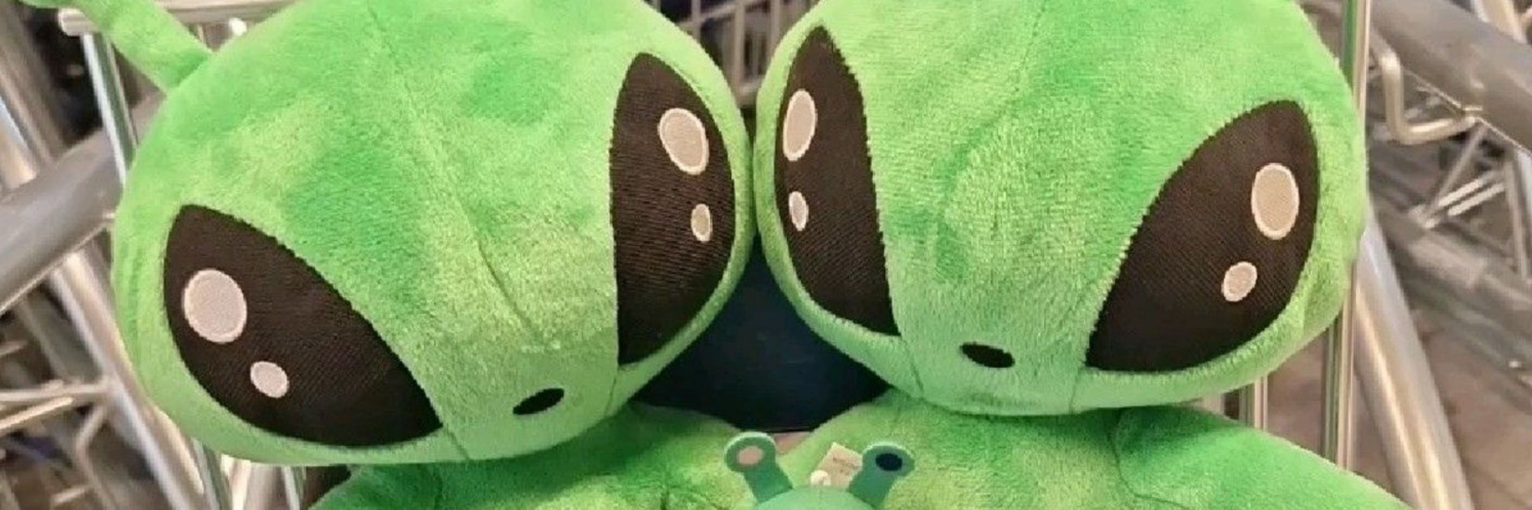 nanaദ്ദി ˃ ᵕ ˂ )