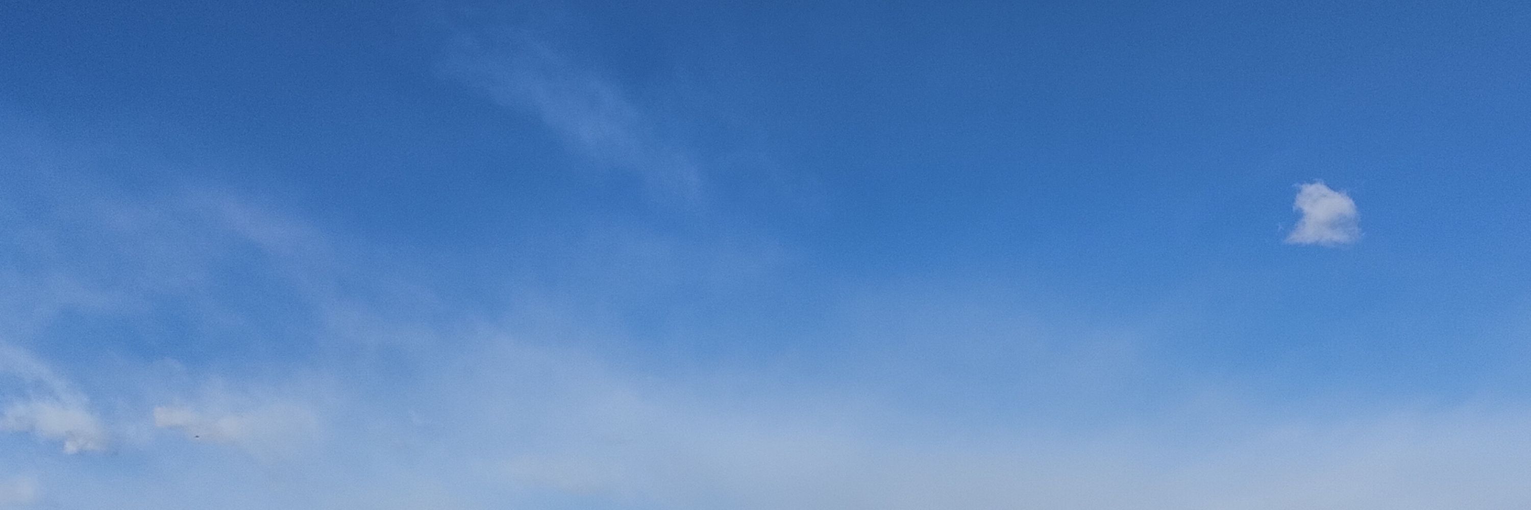 巖手