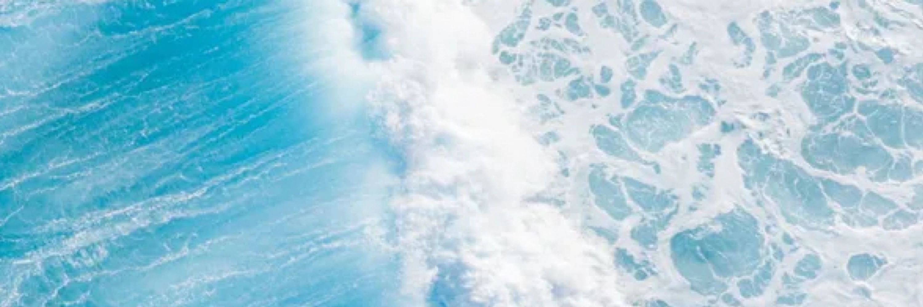 海底王
