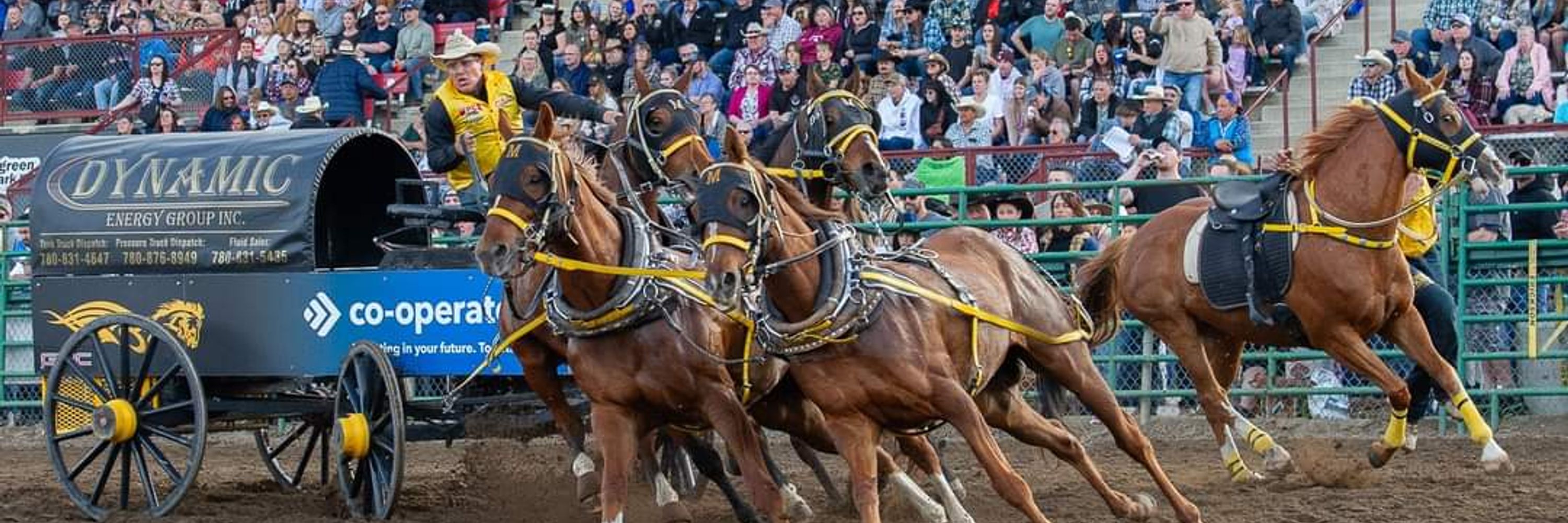 World Professional Chuckwagon Association