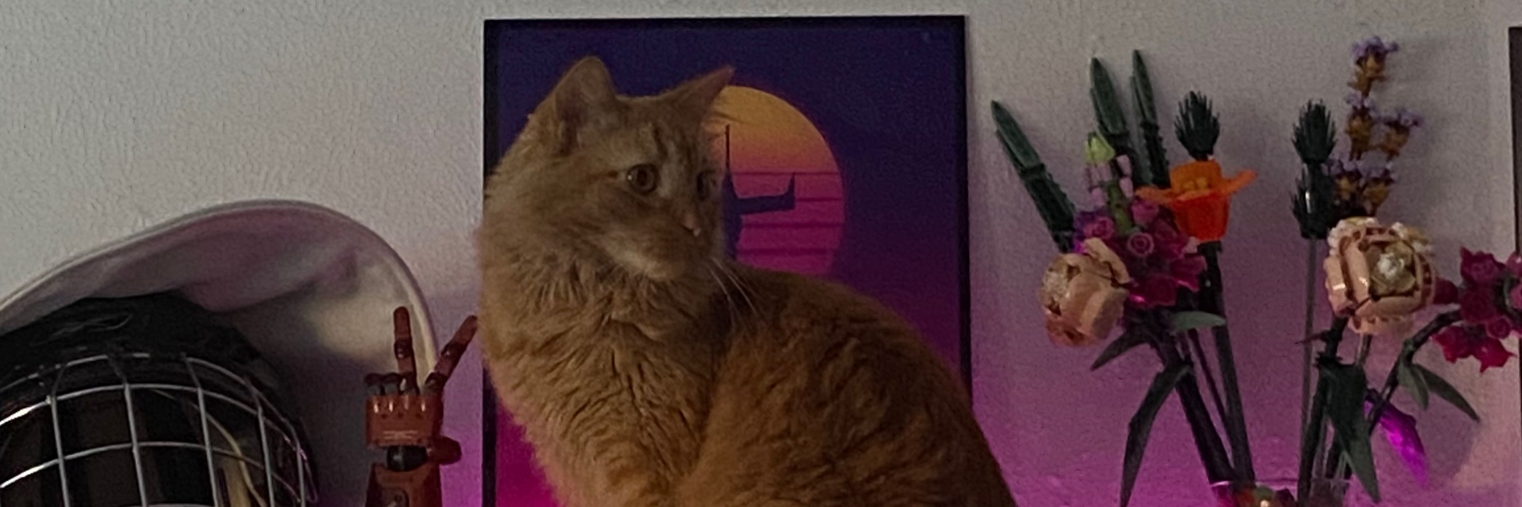 sam (HR of posting)