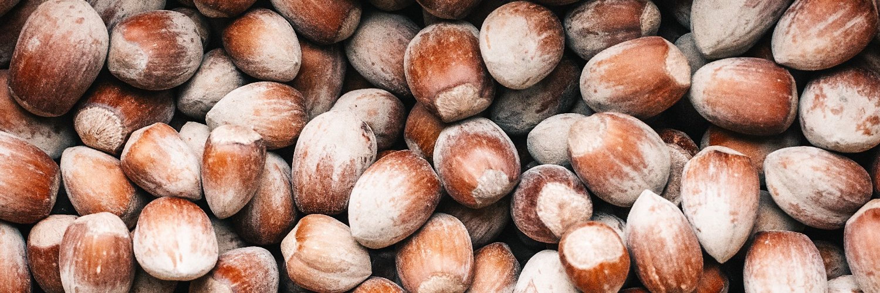 Hazelnut Notes