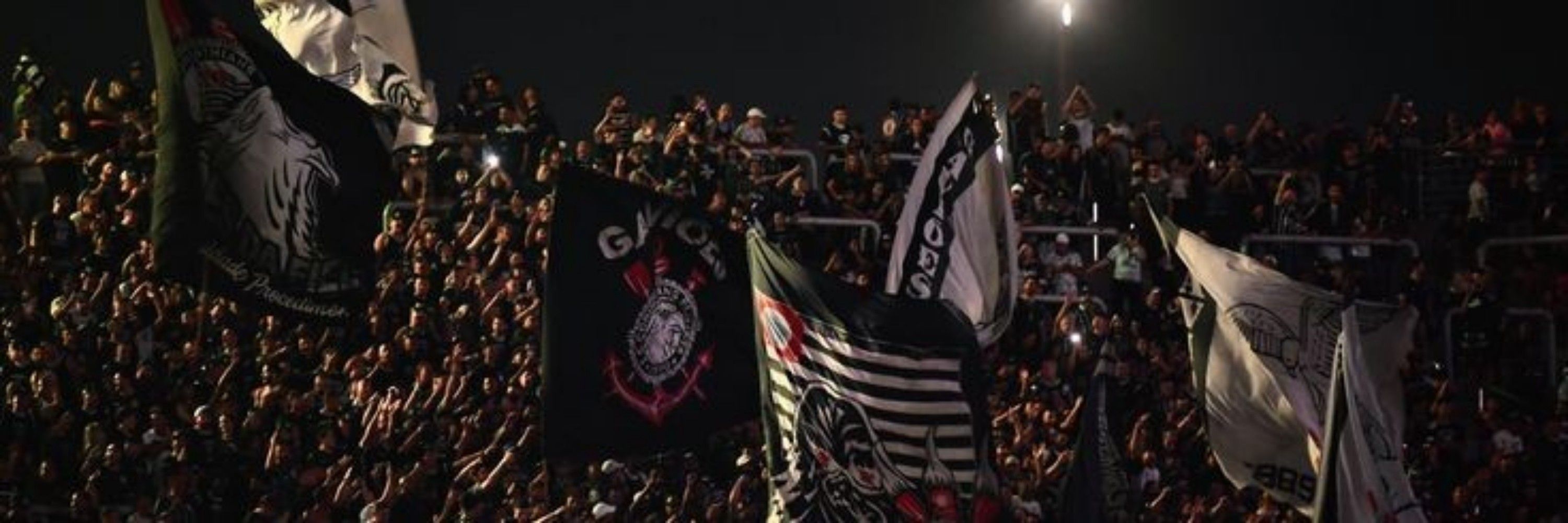 clara do sccp ☭ | 📖: A Hipótese do Amor