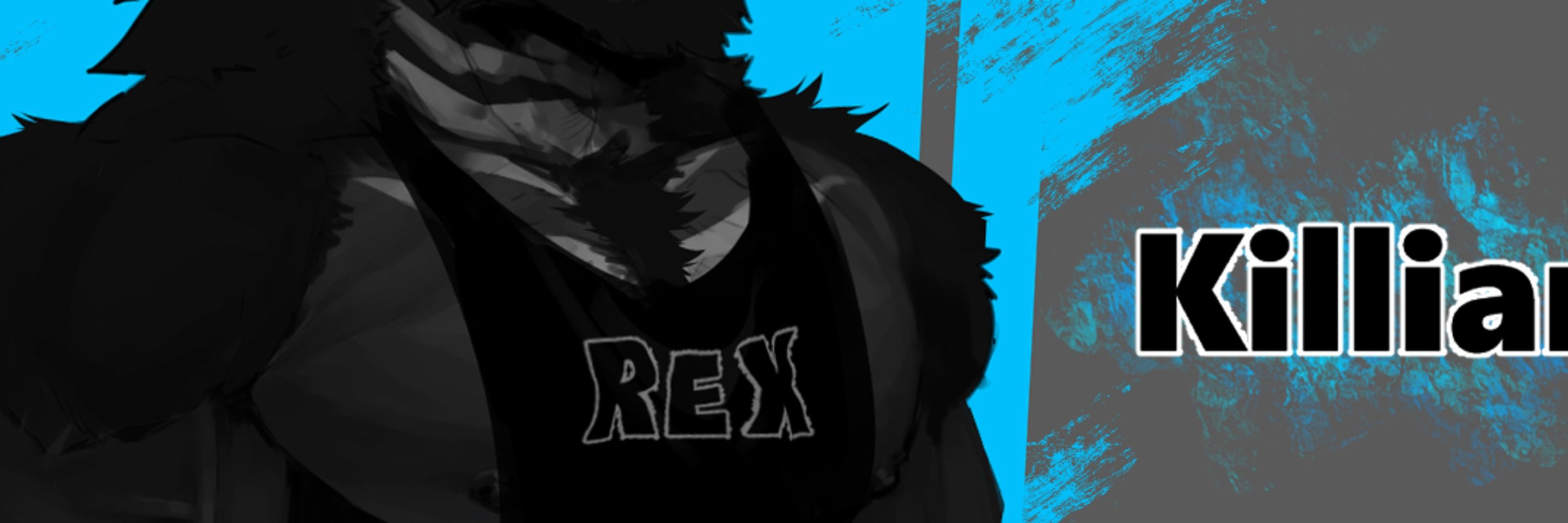 Profile banner