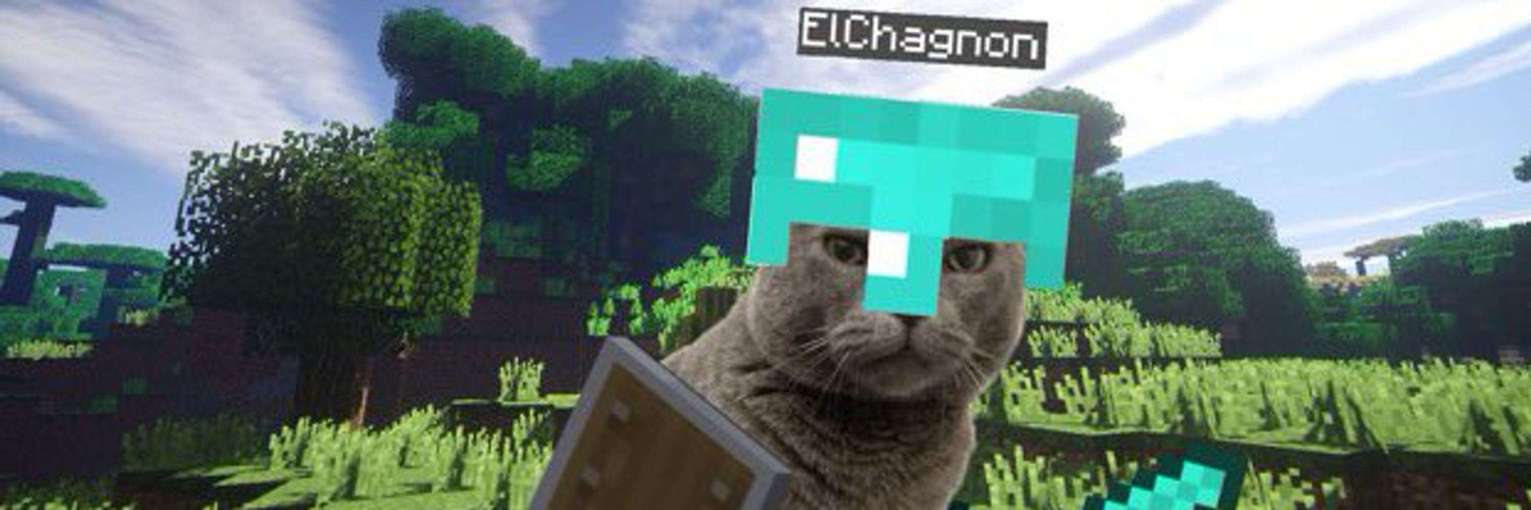 ElChagnon