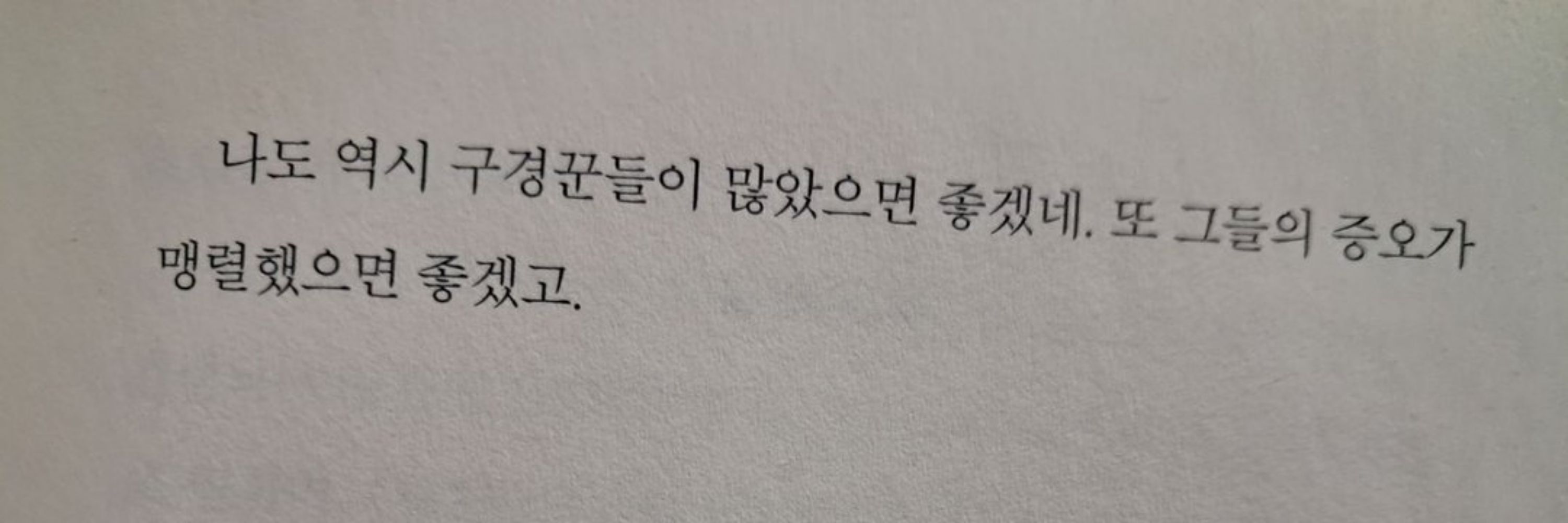 최 제플린