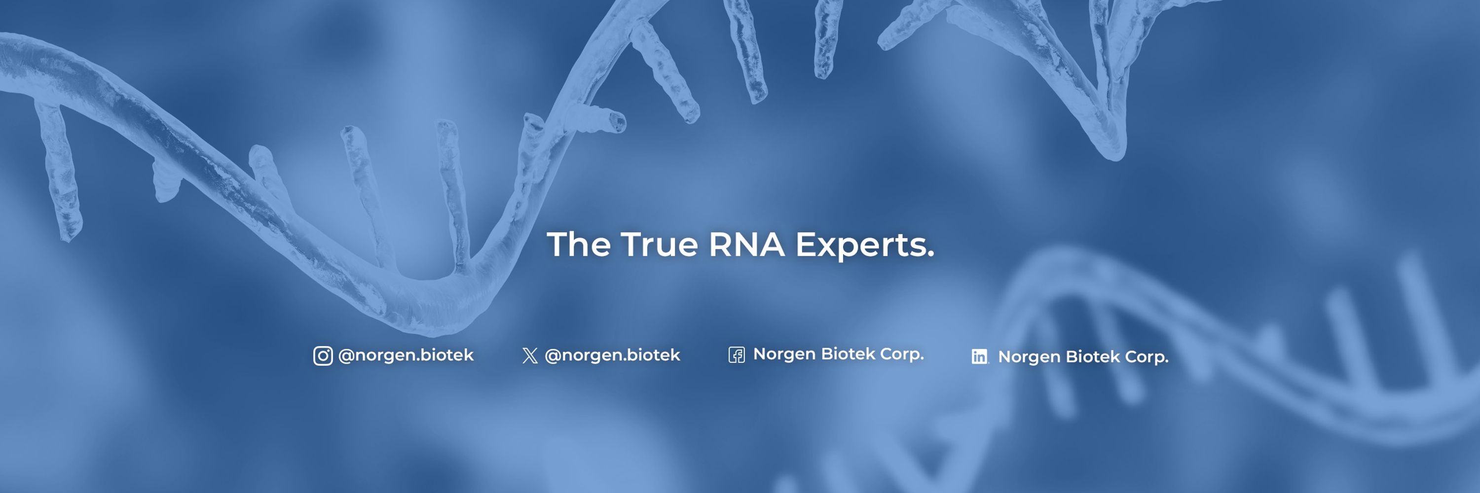 Norgen Biotek