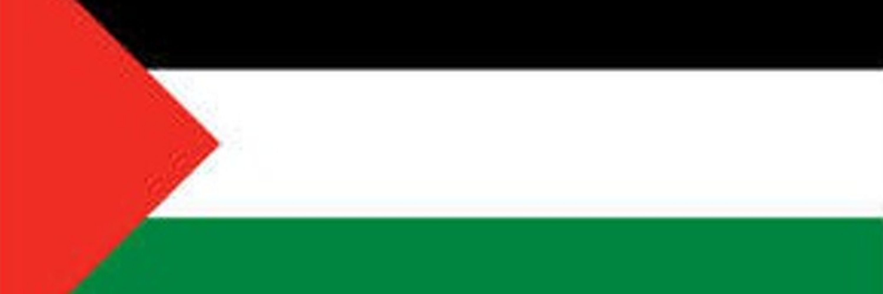 Sergio 🚩🇵🇸 Palestina Livre!