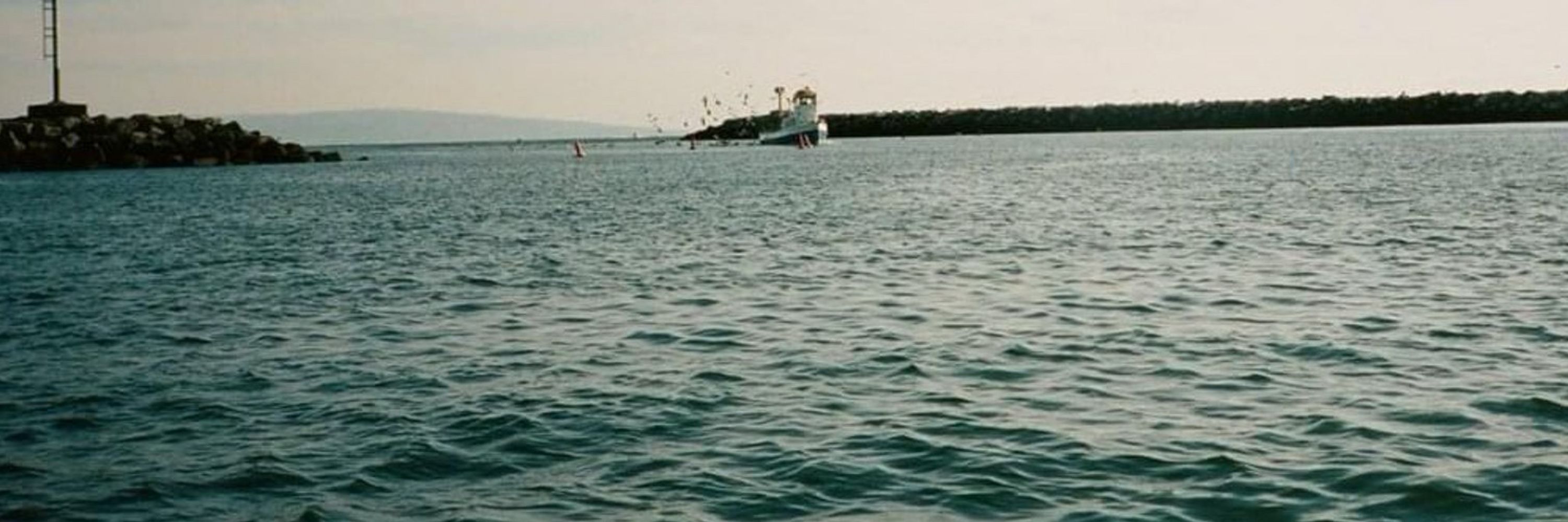 luizinho del rey